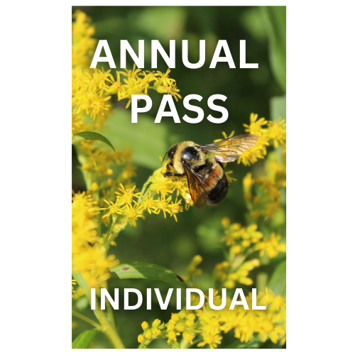2025 Annual Pass Individual