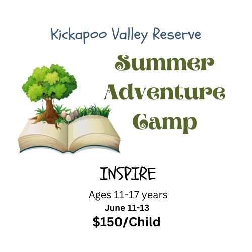 Camp Inspire
