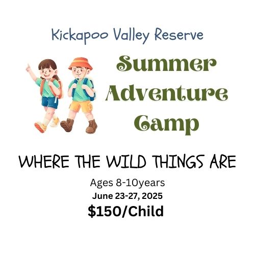 Where the Wild Things Are