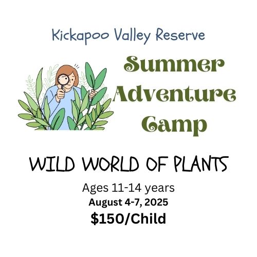 Wild World of Plants