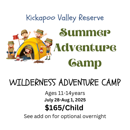 Wilderness Adventure Camp