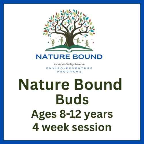 Nature Bound Buds - 4 weeks