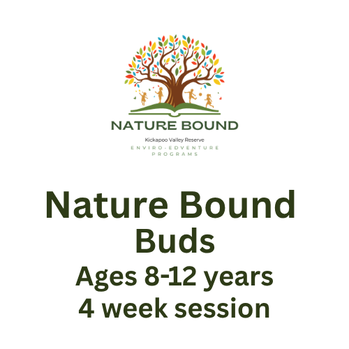 Nature Bound Buds - 4 Weeks