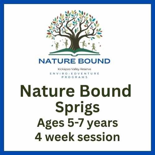 26 Nature Bound Sprigs - 4 Weeks
