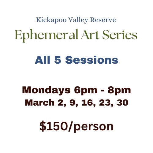 Ephemeral Art - All 5 Sessions