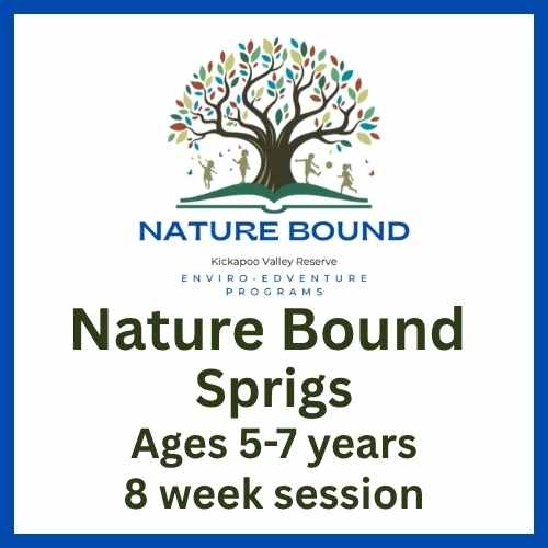 26 Nature Bound Sprigs - 8 Weeks