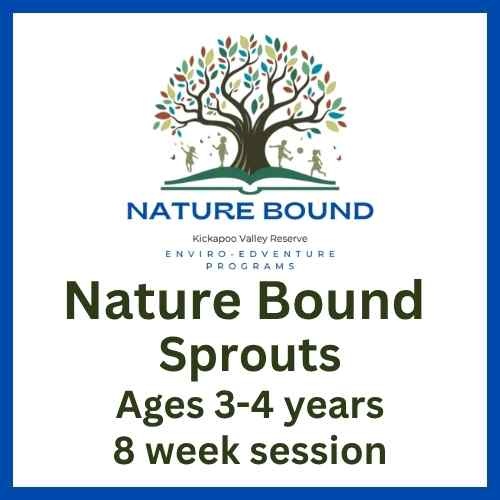 26 Nature Bound Sprouts - 8 Weeks