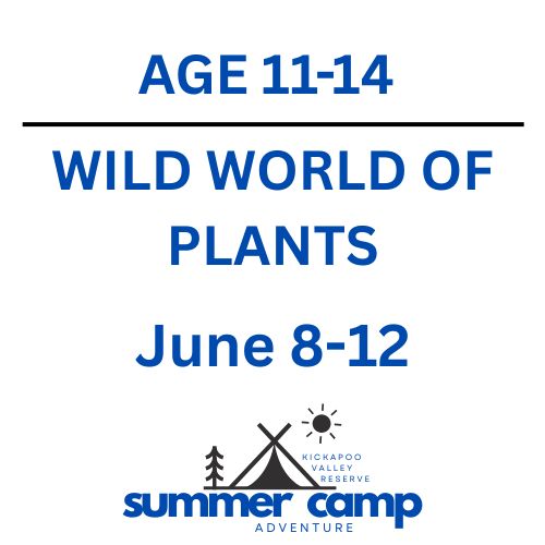 Wild World of Plants