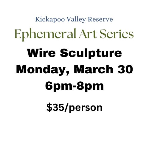 Ephemeral Art - Wire Sculpture